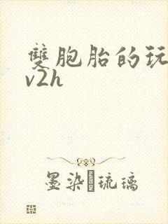 双胞胎的玩具1v2h