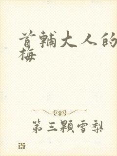 首辅大人的小青梅