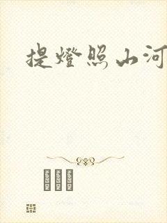 提灯照山河封面