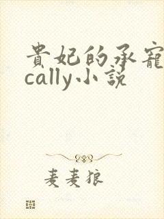 贵妃的承宠日常cally小说