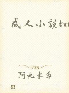 成人小说txt