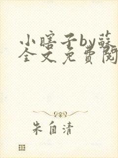 小瞎子by苏软全文免费阅读