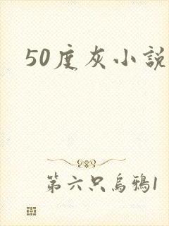 50度灰小说