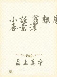 小说 翁想房中春意浓