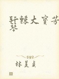 轩辕大宝芳菲雅琴