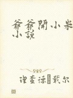 爷爷开小米的包小说