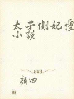 太子侧妃傻乎乎小说