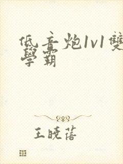 低音炮1v1双学霸