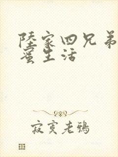 陆家四兄弟的甜蜜生活