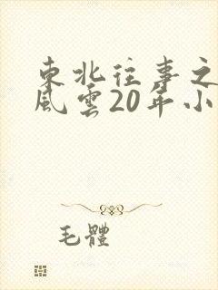 东北往事之黑道风云20年小说