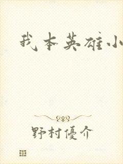 我本英雄小说