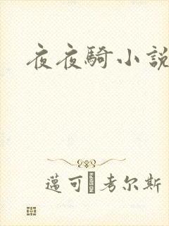 夜夜骑小说