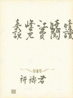 秦峰江晓晴的小说免费阅读封面