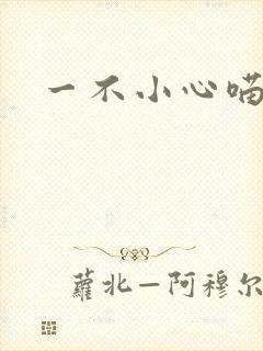 一不小心喵上你