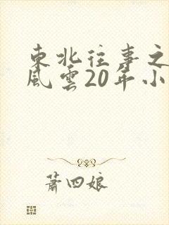 东北往事之黑道风云20年小说