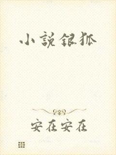 小说银狐