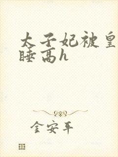 太子妃被皇上强睡高h