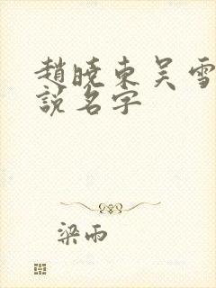 赵晓东吴雪晴小说名字