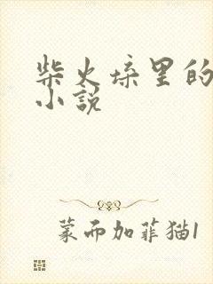 柴火垛里的疯狂小说封面