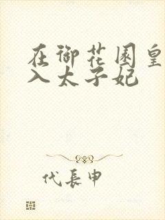 在御花园皇上进入太子妃封面