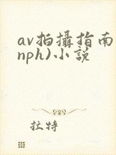 av拍摄指南(nph)小说