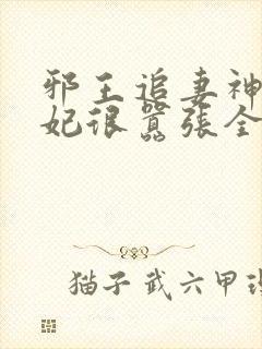 邪王追妻神医狂妃很嚣张全文免费封面