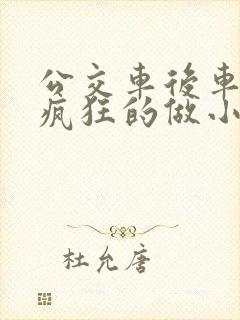 公交车后车座的疯狂的做小