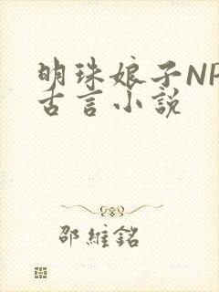 明珠娘子NPC古言小说