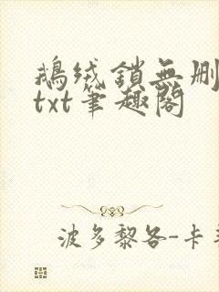 鹅绒锁无删减版txt笔趣阁