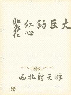 紫红的巨大顶开花心