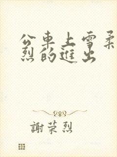 公车上雪柔被猛烈的进出