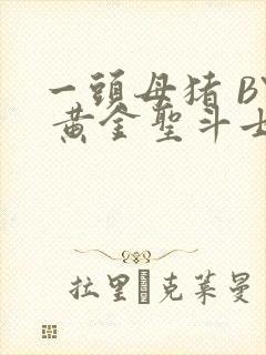 一头母猪 BY 黄金圣斗士