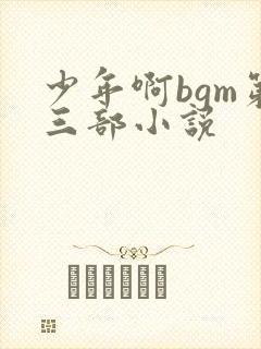 少年啊bgm第三部小说