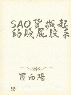 SAO货撅起你的贱屁股来