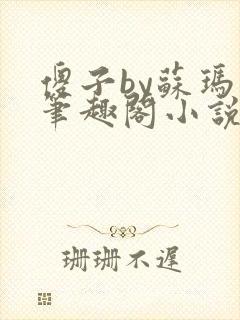 傻子by苏玛丽笔趣阁小说