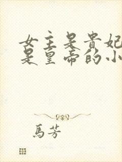 女主是贵妃男主是皇帝的小说