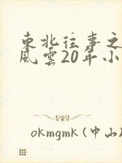 东北往事之黑道风云20年小说封面