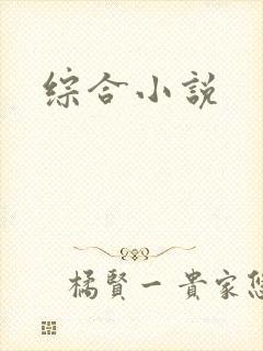 综合小说封面