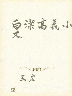 白洁高义小说全文