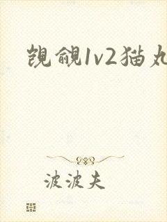 觊觎1v2猫丸封面