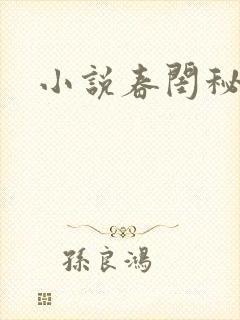 小说春闺秘史封面