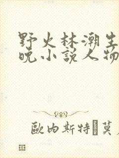 野火林潮生林晚晚小说人物野火