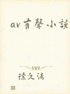 av有声小说
