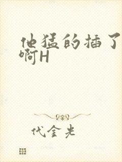 他猛的插了进去啊H