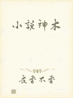 小说神木