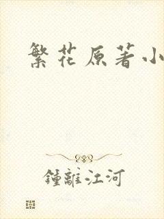 繁花原著小说封面