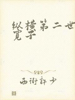 纵横第二世界 宽子