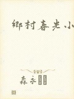乡村春光小说