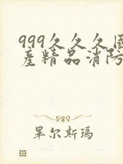 999久久久国产精品消防器材封面