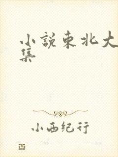 小说东北大炕全集封面